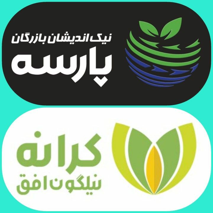هلدینگ نیک اندیشان بازرگان پارسه-شرکت کرانه نیلگون افق