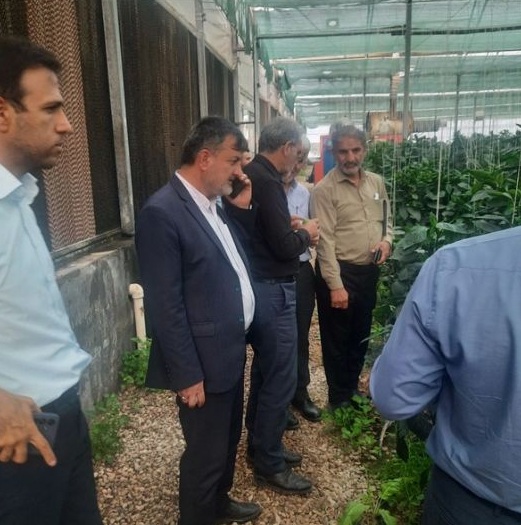 بازدید مدیرعامل گروه اقتصاد مردمی از ظرفیت‌های مجموعه شهید باغبانی خوزستان