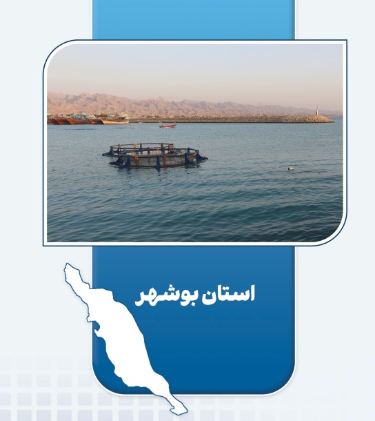 بوشهر؛ پیشتاز اقتصاد مردمی با اجرای ۴۷ طرح و سرمایه‌گذاری ۶۱.۸ میلیارد تومانی