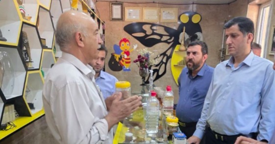 بازدید مهندس اکبرپور مدیرعامل شرکت یاس نوین پارسه از مجتمع پرورش زنبور عسل علی‌خانی در لرستان