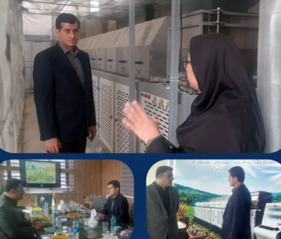 بازدید مدیرعامل یاس نوین پارسه از فناوری‌های نوین در صنایع غذایی دالوند