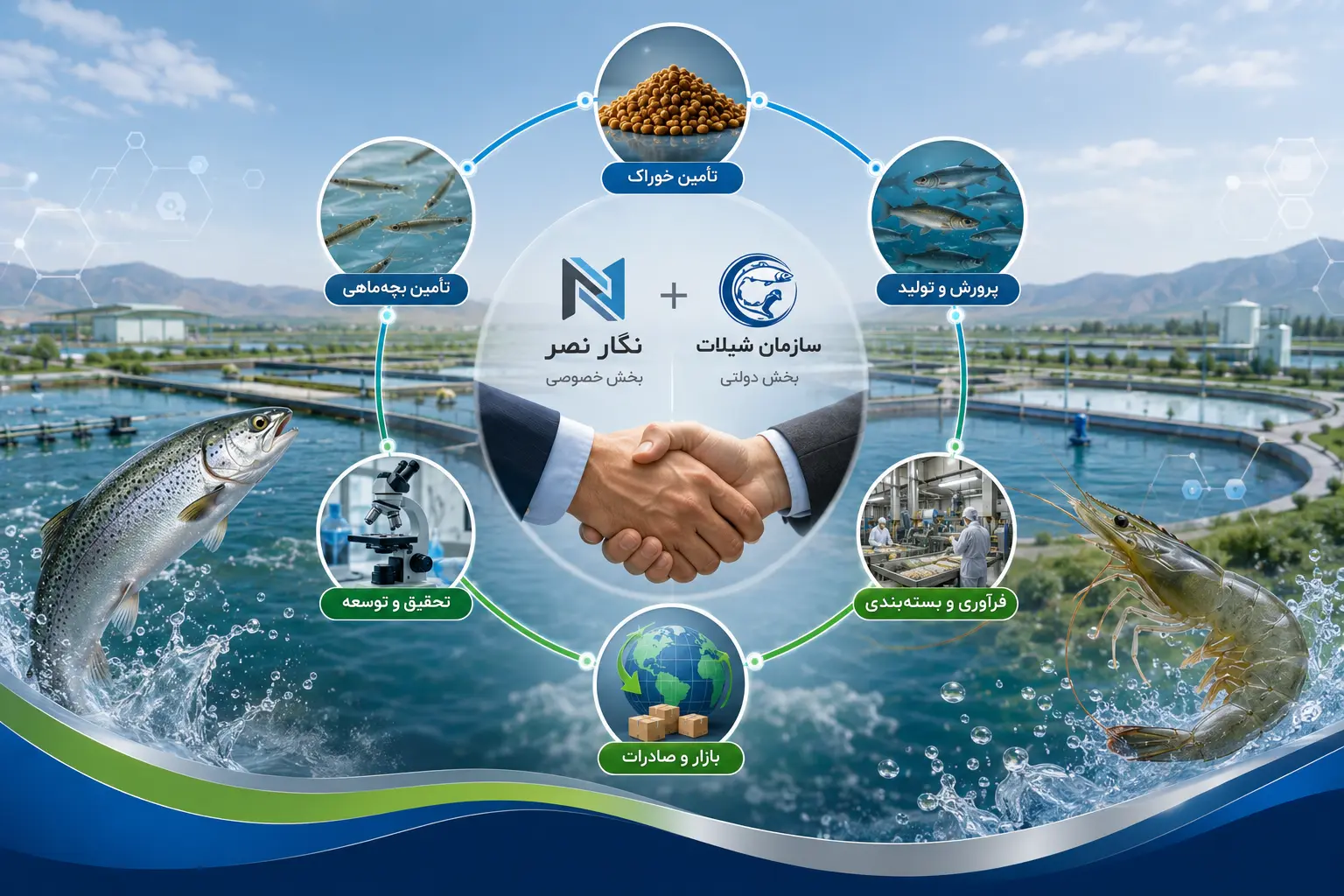 هم‌افزایی نگار نصر و شیلات استان با حضور دکتر پاینده و مدیرکل شیلات